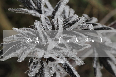 不良資產(chǎn)，將去向何方？